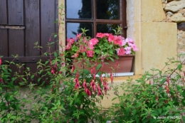 jardin,chez Bernadette,puces,cygnes,pluie 182.JPG