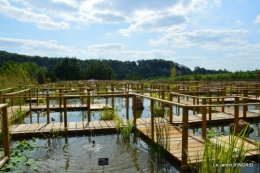 les jardins d'eau de Carsac 138.JPG