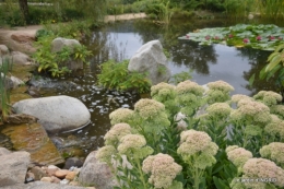 orage,puces,bouquet,Anniv.Ines,Brantome,Jardins d'eau 262.JPG