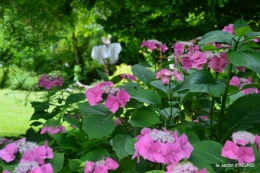 jardin,papillons,Cadouin,légumes,Sophie, 029-001.JPG