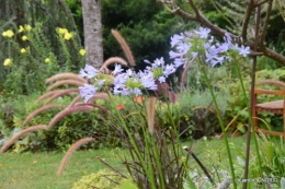 bouquet d ete,Plambouissin,grotte ,Erignac,Campagne,Julie 006.JPG