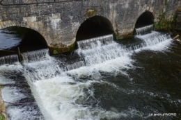 orage,puces,bouquet,Anniv.Ines,Brantome,Jardins d'eau 176.JPG