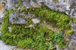 la Roque Gageac,Ines,jardin 031.JPG