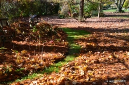 jardin, feuilles,sauges,gloriette,land art 050.JPG