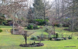 mésanges,jardin janvier 004.JPG