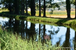 jardin,à l'étage,Joel dans bucher 062.JPG