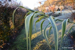 colline,jardin givré 013.JPG