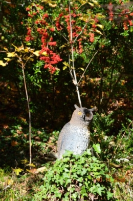 automne
