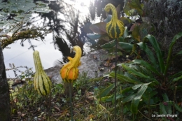 jardin,citrouille Issigeac,moulin Violette,Besse,Arya 109.JPG