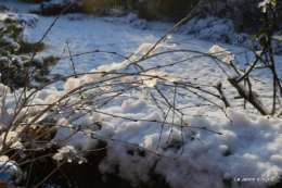 Neige en dordogne,jardin 192.JPG