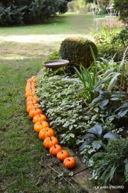 automne, décos cucurbitacées,jardin 021.JPG