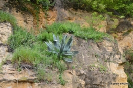 la Roque Gageac,Ines,jardin 083.JPG