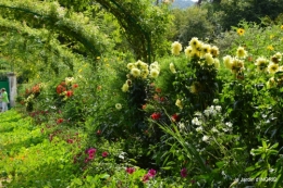 bouquet,jardin de Monet,les vaches,Pourville sur mer 044.JPG