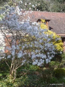 Romane,arbre de Paques,chez Bernadette,jardin 029.JPG