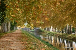 canal automne ,jardin,Ines 109.JPG