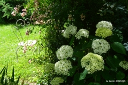 potager,chenille,pour le 18 juin,tour du jardin 037.JPG