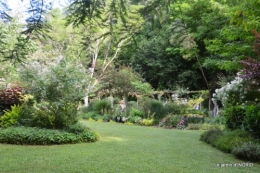 portes ouvertes,taille marguerittes,jardin 027.JPG