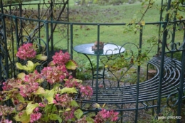 couleurs d'automne,bouquet,lune 108.JPG