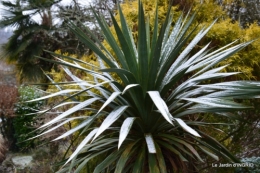 oiseaux première neige 015.JPG