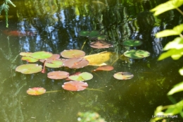 fete des fleurs Lalinde ,Cadouin,les printanières ,jardin 226.JPG