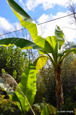 anniversaire Mamy,chateau d'eau,jardin automne 086.JPG