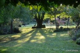 male ancienne,septembre jardin,couronne,bouquet 088.JPG