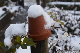 Neige en dordogne,jardin 117.JPG