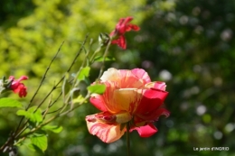 chez Fabien,tour du jardin,épouvantails 004.JPG