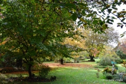 automne,arbres,inondation 093.JPG