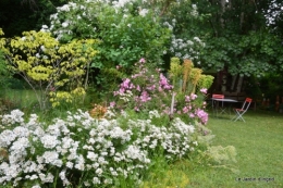 Ciron,jardin en mai,les filles piscine,Domme,roses 206.JPG