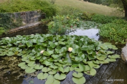 orage,puces,bouquet,Anniv.Ines,Brantome,Jardins d'eau 251.JPG