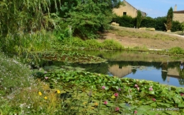 les jardins d'eau de Carsac 094.JPG