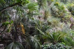 la Roque Gageac,Ines,jardin 034.JPG