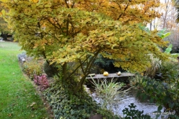 les arbres en automne,cabane 051.JPG