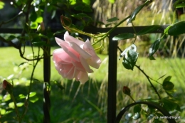 mai au jardin,les filles 104.JPG