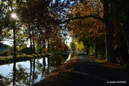 jardin automne,voisinage,canal 180.JPG