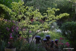 Ciron,jardin en mai,les filles piscine,Domme,roses 240.JPG