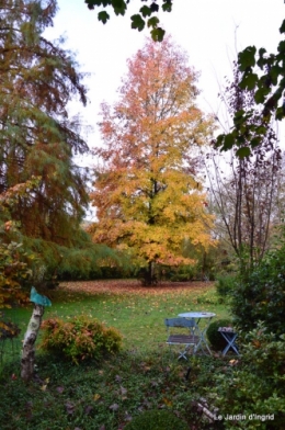 jardin serre bucher automne 027.JPG