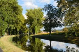 parapente,potager,kois,Lalinde,pastel,canal,choux,ipomée, 182.JPG