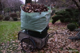 givre,dégats gelée 039.JPG