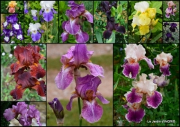 2015-05-16 maison,jardin Bernadette,et jardin Claudine.jpg