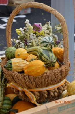 champignons,citrouilles,st Mayme de Péreyrol,fuschias,jardin aut 094.JPG