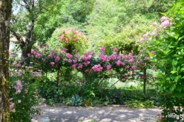 chez Fabien,tour du jardin,épouvantails 061.JPG