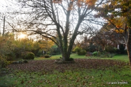 canal,automne,tonte des feuilles 067.JPG