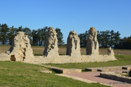 l ile de Ré,jardin automne 043.JPG