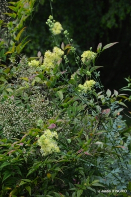 jardin,chez Bernadette,puces,cygnes,pluie 122.JPG