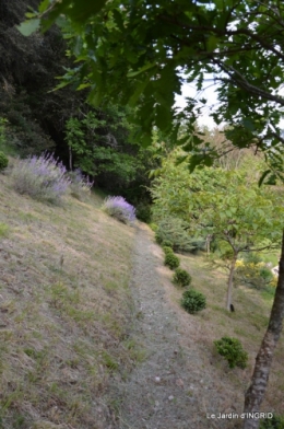 jardin,premières roses,colline,avant l'orage 018.JPG