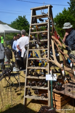 gastéropodes,les cygnes,marché,l'Abbaye Nouvelle,jerdin 081.JPG