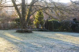 givre,jardin,bouquet 021.JPG