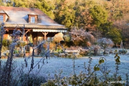 colline,jardin givré 021.JPG